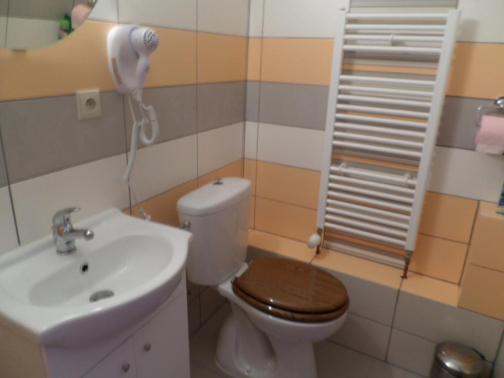 Penzion V Budech Křivoklát 部屋 写真